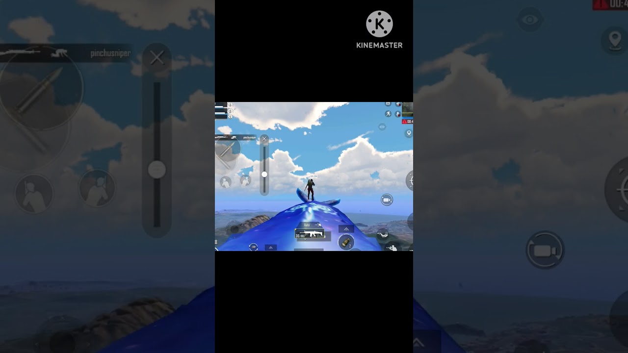 Riding whale in BGMI 