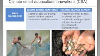 Gender dimensions of adopting climate-smart aquaculture