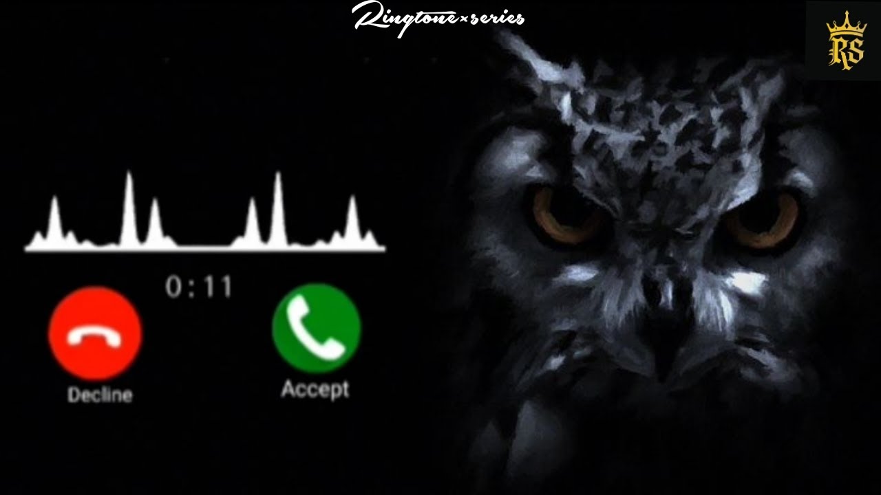 Aaj ki date me chhora sab ke status pe (Status Bgm) Trending Haryanvi Ringtone Instrumental Ringtone