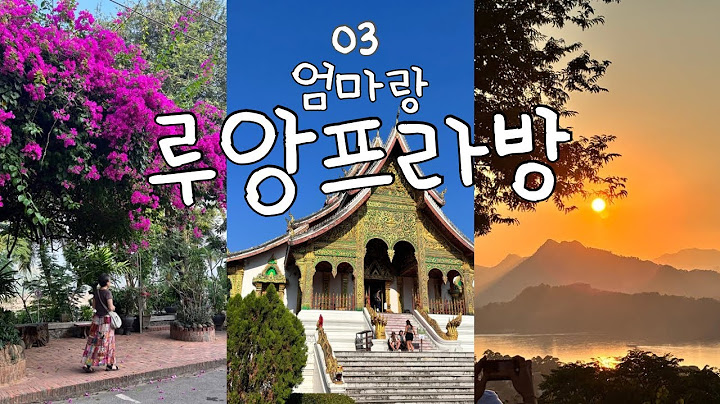 아침부터 밤까지 완벽한 하루인 걸?ㅣ여기에도 김이!?ㅣ탁발,왕궁,푸시산,야시장ㅣ코코넛 와플은 선택이 아닌 필쑤 [라오스 한달살기7]