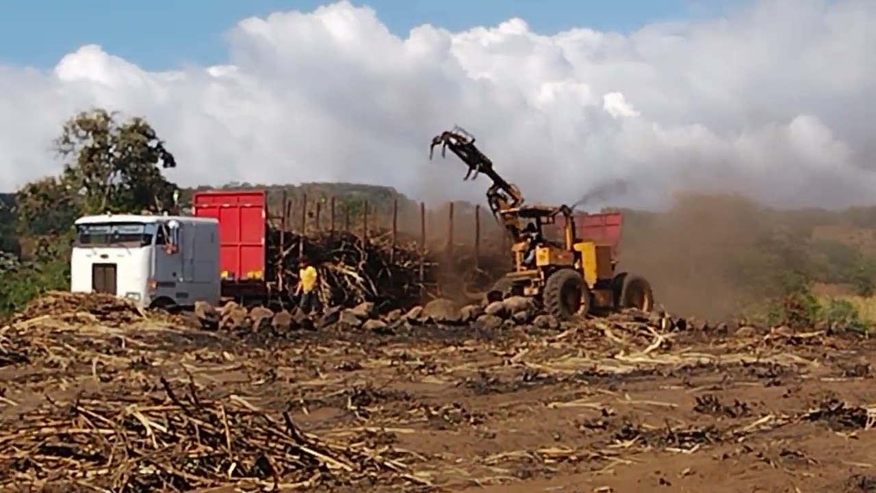 así cargan alos camiones