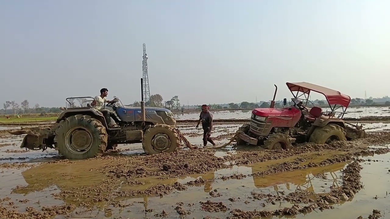 a মাহিন্দ্রা ট্রাক্টার বসে গেছে সোনালীকা টাইগার একটার  তুলতে গেছে কিভাবে তুলছে ভিডিওটা দেখুন সম্পন্ন