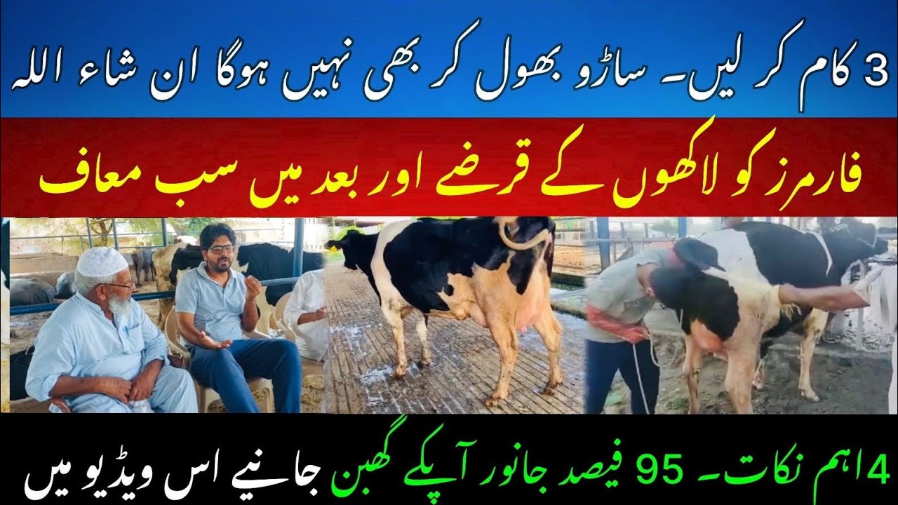 Free loan scheme for farmers II Mastitis and repeat breeding solved II Dr. Muzzammil Hassan