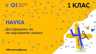 картинка: 1 клас. Наука. Досліджуємо, як ми відчуваємо запахи (Тиж.4:ЧТ)