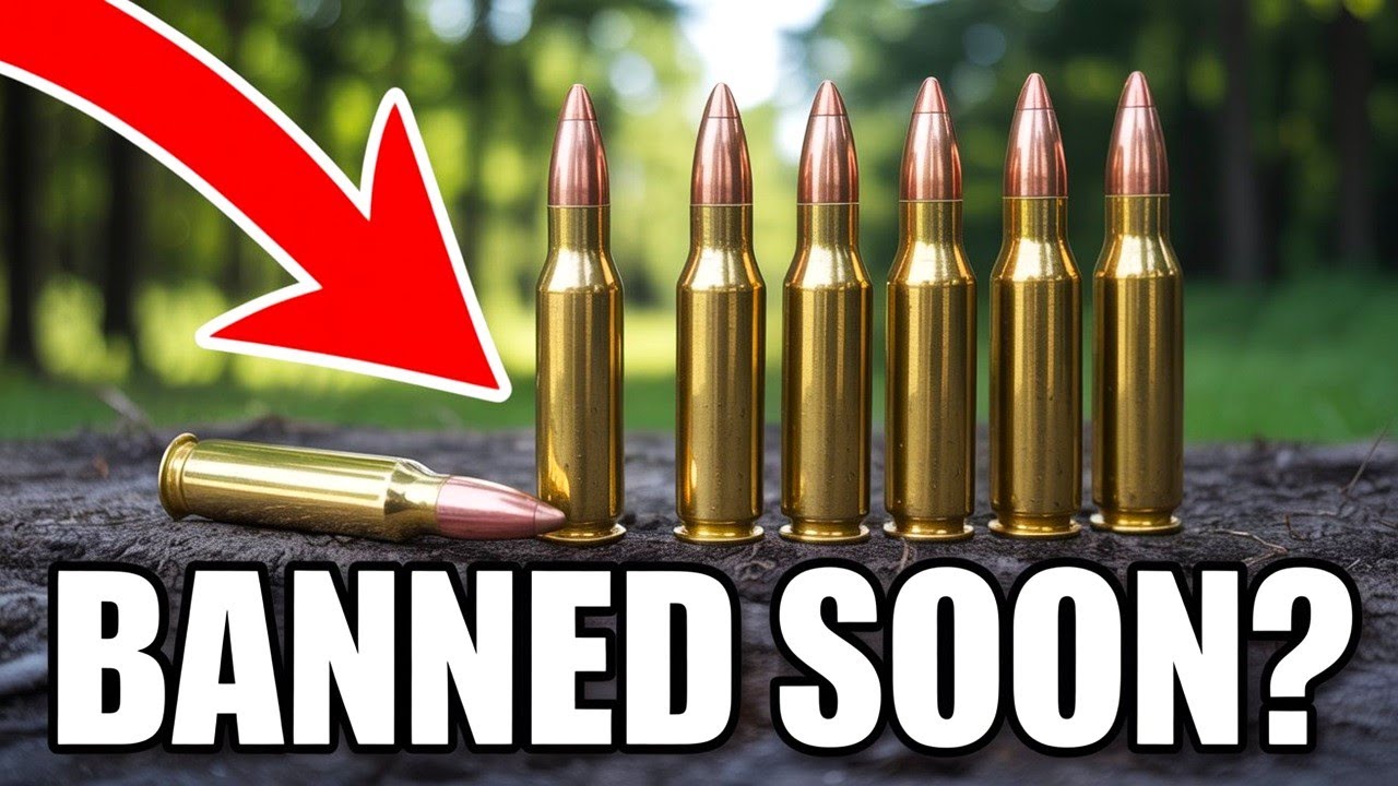 5 охотничьих калибров, о которых больше никто не говорит.