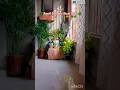 🌿 Small Entrance Decor Idea #HomeDecor #PlantDecor #EntranceDecor #shorts #short #HomeGlowWithMegha