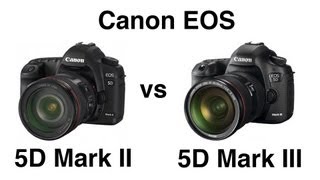 Canon Eos 5D Mark Ii Vs 5D Mark Iii Comparison