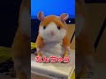 なんちゅう顔しとるんだ