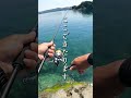 エギングの当たりとれてますか？ #shorts #エギング #釣り
