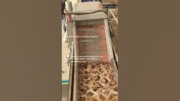 Peanut Processing Line #shorts #viralshorts  #peanutprocessingline #ssengrindia