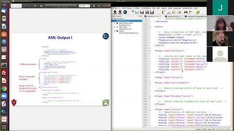 CC3D Workshop 4.2: Embryonic Segmentation and Links
