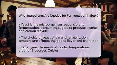 What Ingredients Are Needed for Fermentation in Beer? | The Pint Guy