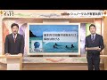 【なぜ?】「シュノーケル」が有害玩具? 時代に取り残された&ldquo;ガラパゴス条例&rdquo;か