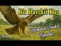 BİR HAYDUT KUŞ | Memduh Şevket Esendal | Sesli Hikaye | Seslendiren: Barış Okkay