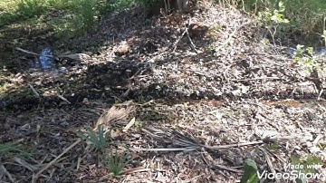 strange unknown noise Outside caught on video