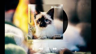 No AI | Soft Kitty Purring ASMR | Deep Sleep & Relaxation 🐱 screenshot 3