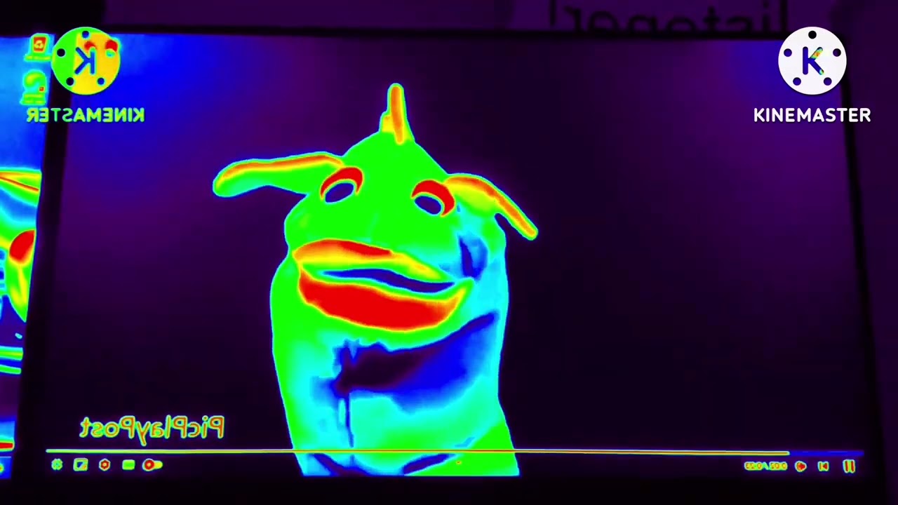 baby Einstein month 6 baby Mozart effects 1