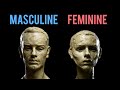How to sculpt a man or woman  10 key anatomical differences
