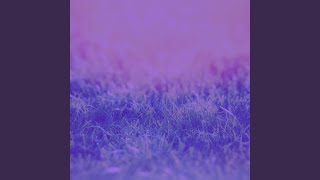 Fun Backdrops for Quiet Tranquility