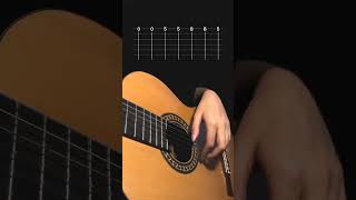 Ultimate Guitar Tuner Guide (Tuner Comparison)