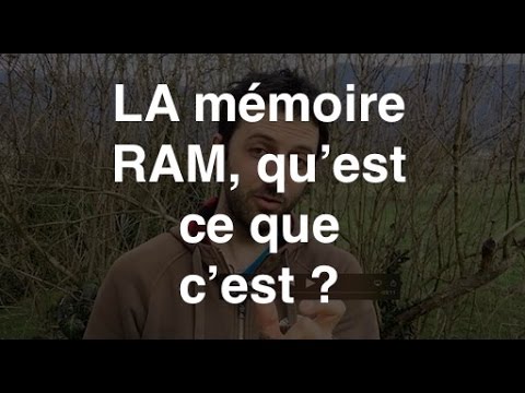 Vidéo: Qu'est-ce qu'un économiseur de mémoire sur une voiture?