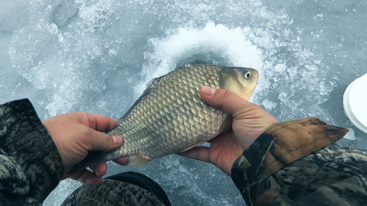 Отличная рыбалка. Ночная рыбалка на карася. Night fishing for carp