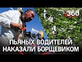 На «валку» борщевика за нетрезвое вождение отправляют в Ленобласти - законно ли? Отвечает юрист