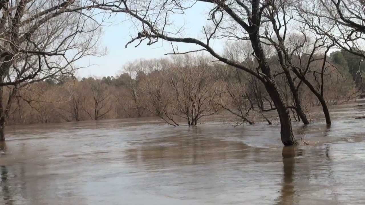 Уровень воды в жиздре козельск сегодня. Разлив реки Жиздра в Козельске. Разлив реки Жиздра в Калужской области. Разлив Жиздры в Козельске. Половодье Жиздра Козельск 2013.