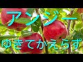 歌ってみた(^_^) アンジー/ゆきてかえらず うたスキ動画
