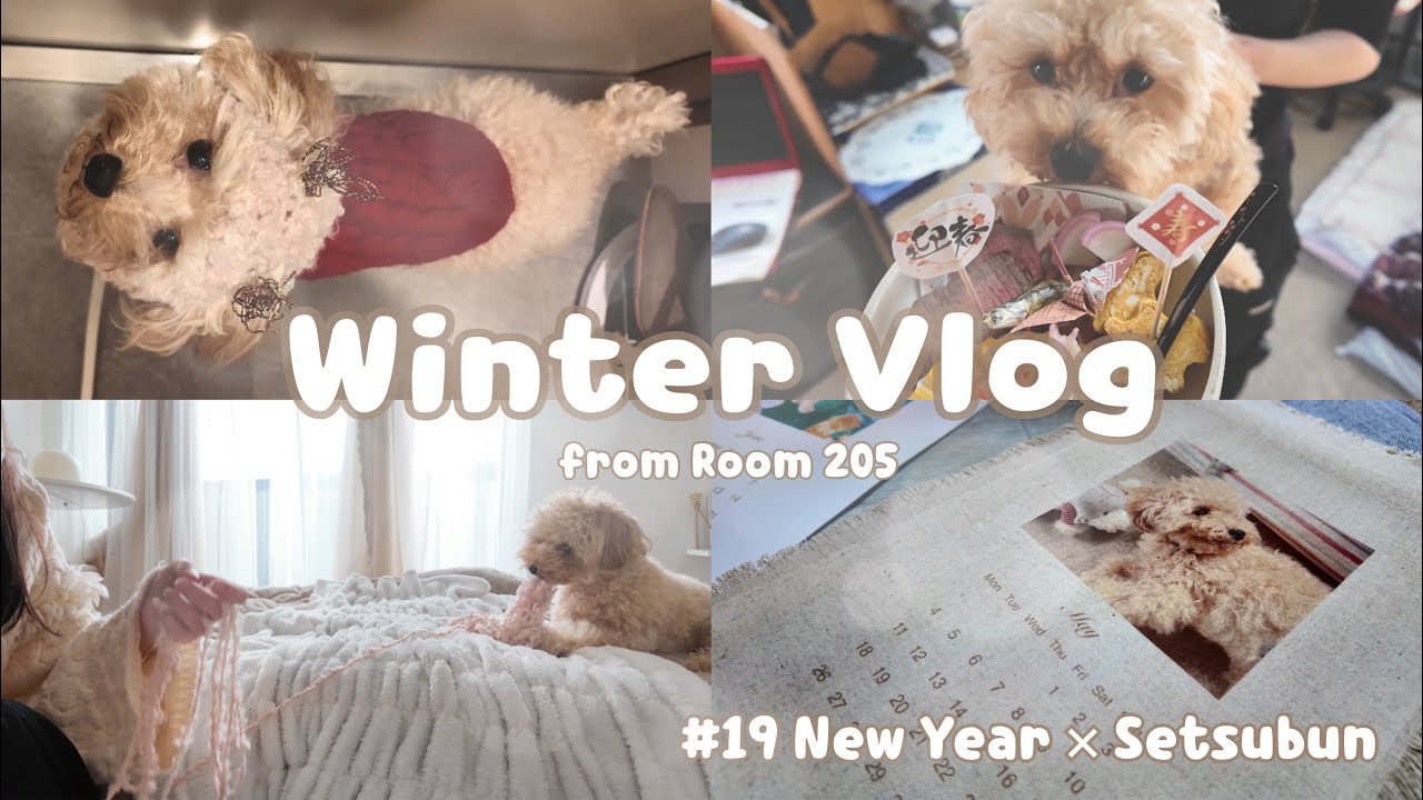 【愛犬と過ごす、冬の愛おしい日々⛄️】手作りおせちと恵方巻き｜Daily Vlog