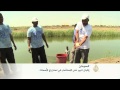 اقتصاد الصباح 7/3/2015