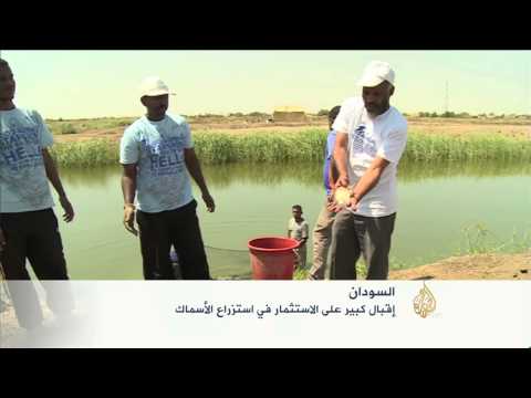 اقتصاد الصباح 7/3/2015