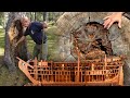 La madera y su uso histórico en la construcción de barcos y navíos | Oficios Perdidos | Documental