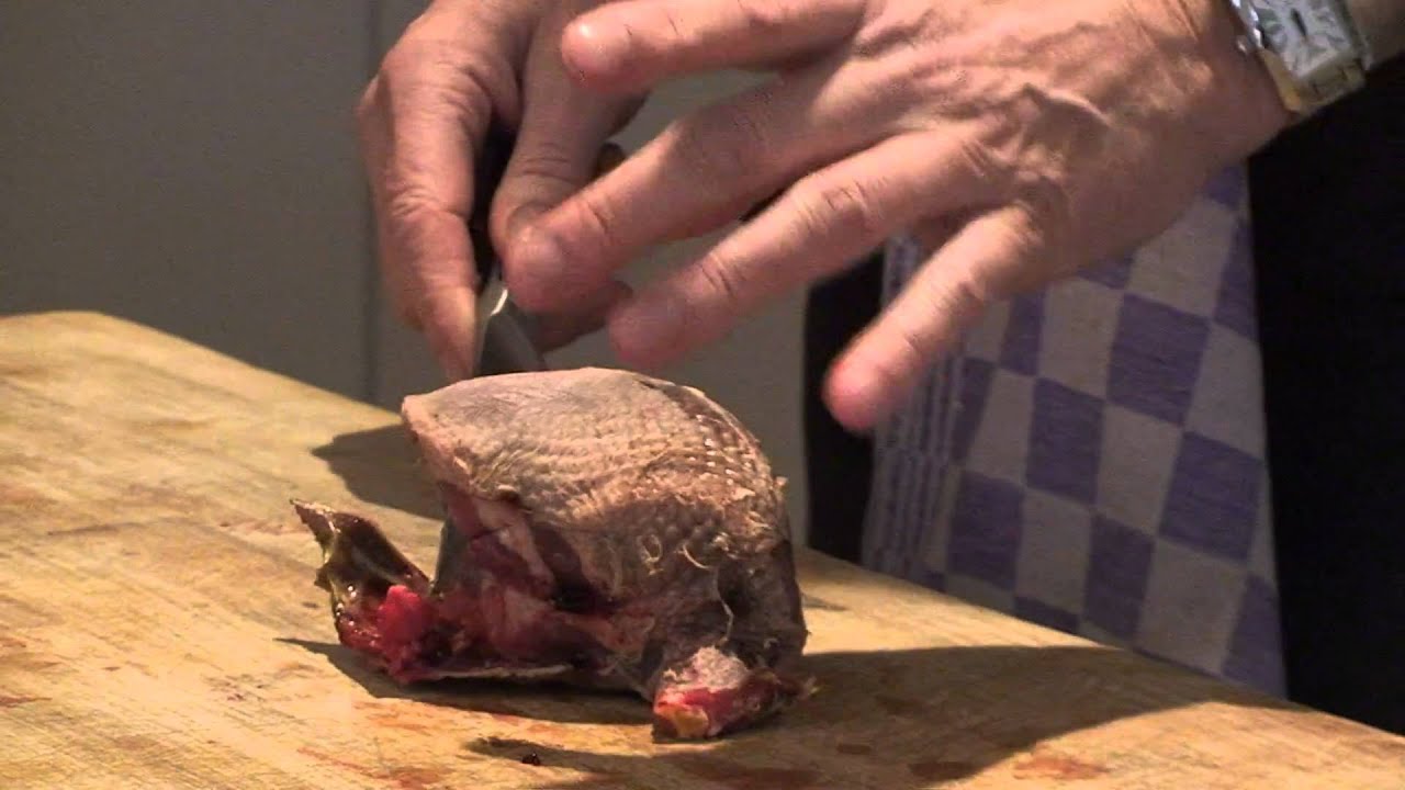 Het bereiden van het wildgerecht het koffertje van Houtduif