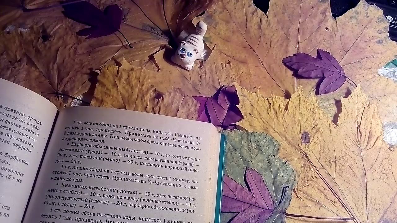 Токсикозы беременных (токсикоз ранний) - лечение. - YouTube