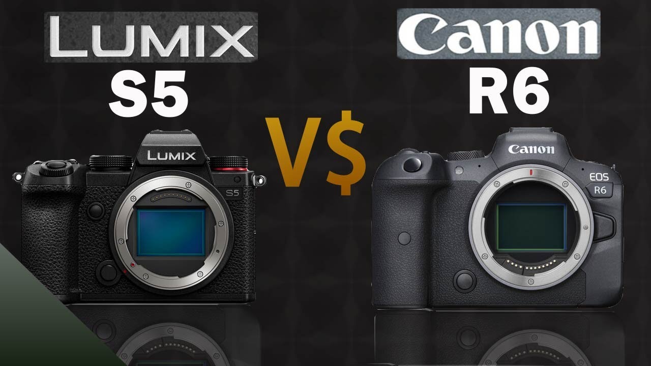 Panasonic Lumix DCS5 vs Canon EOS R6 YouTube