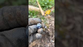 Unbelievable Discovery at 100 Year Old Dump - Canadian Bottle Diggers 🔥 #shorts #history #vintage