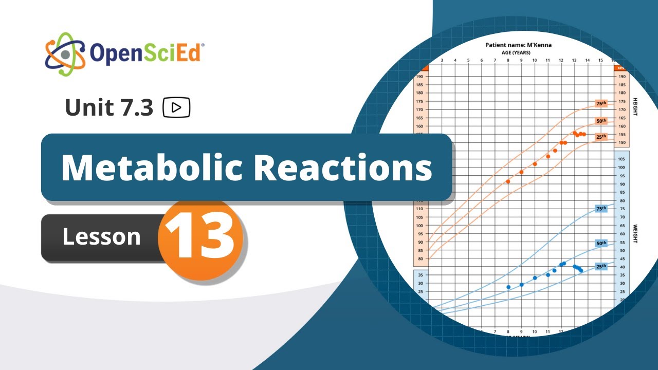 Unit 7.3 Lesson 13 Planning Video | OpenSciEd On-Demand Resources