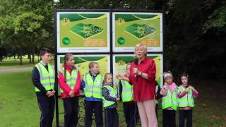 The Irish Tree Trail; Introduction