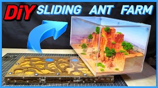 HOW TO BUILD AN ANT NEST | D colony