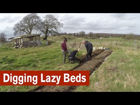 Digging Lazy Beds to Start a Garden