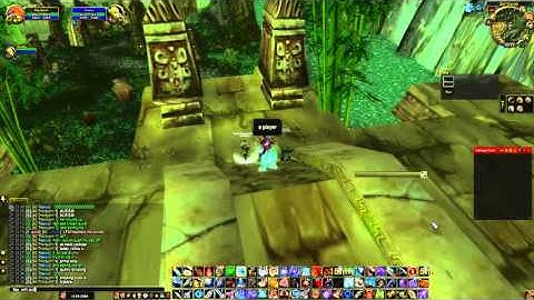 Primal WoW Drumy caught Botting