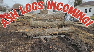 How big of a log can a Kioti DK5320 compact tractor pick up?  The answer will surprise you! by Timber Visions 144 views 3 months ago 20 minutes