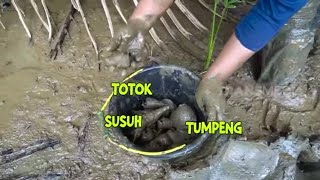 Berburu Kerang dan Kepiting di Muara | ENAH BIKIN ENAK (03/01/23)
