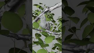Bird Animation Brake Down #maya #blender #blender3d #3d #3danimation #hyperrealisticart #3drenders