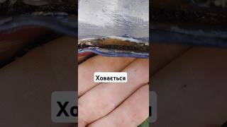прихована корозія Бмв е39 #ремонт #реставрація #бмв #кузовний #3m #nazar_orzhitsa #mazda #vag #car