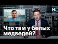 Навальный о последних новостях о Руслане Шаведдинове