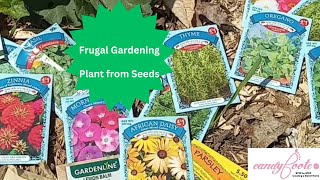 Frugal Gardening Plant from Seeds by Candy Foote 26 views 1 year ago 1 minute, 35 seconds