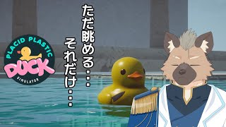 【Placid Plastic Duck Simulator】あひるが翔んだ日【Vtuber】
