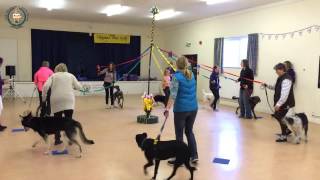 Friendly Dog Club 20Th Anniversary Workshop. The Maypole Dance